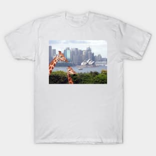 Giraffe at Taronga Zoo Sydney T-Shirt